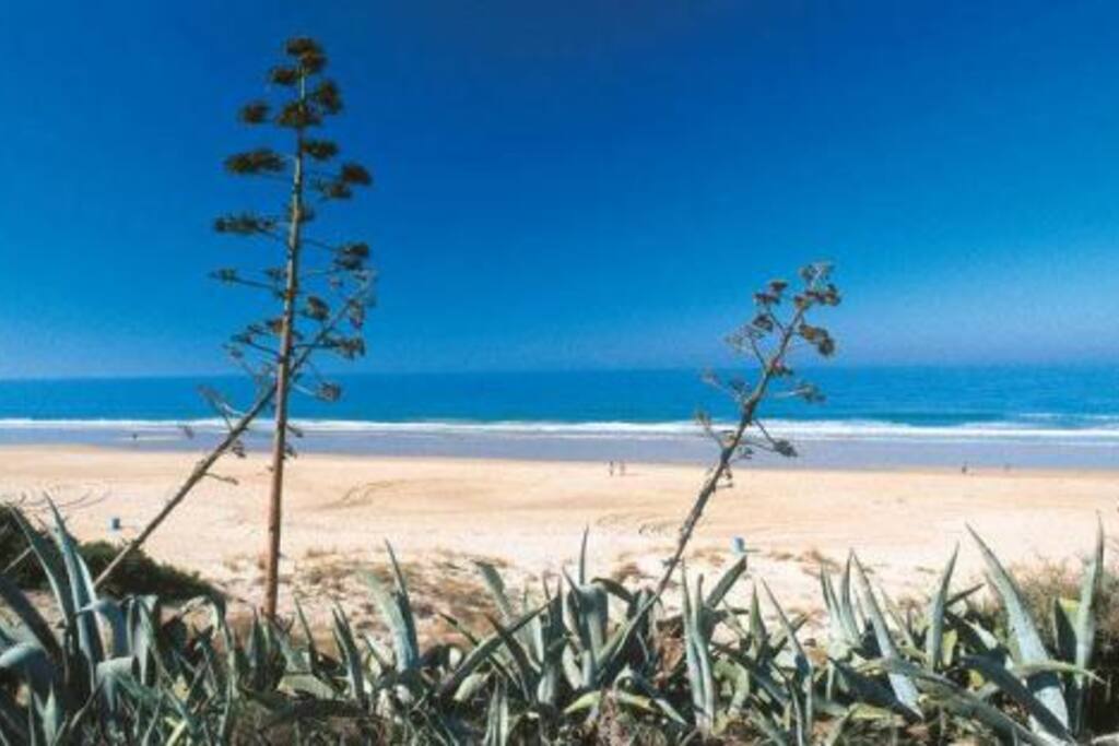 La mejor playas de la costa