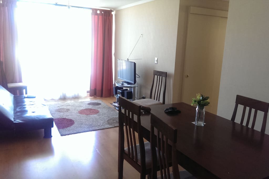 living - comedor