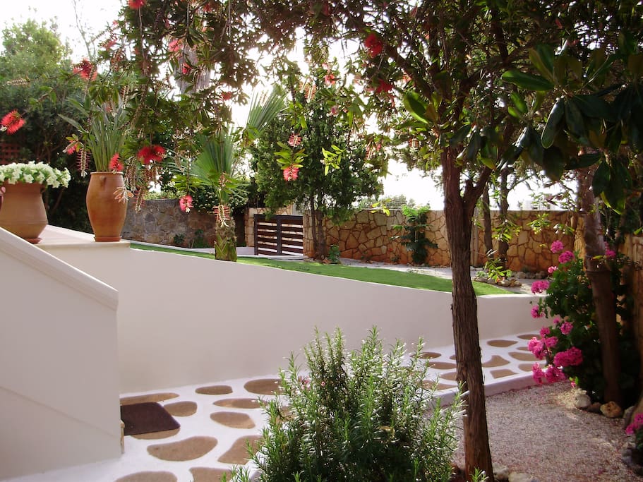 Garden view