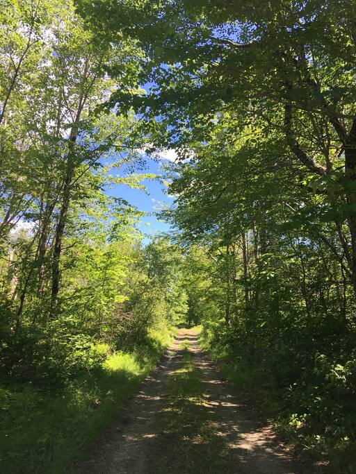 Road to the camp