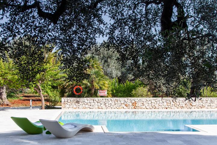 Abbasciu a villa set in a 10 acres olive grove gallery image 4