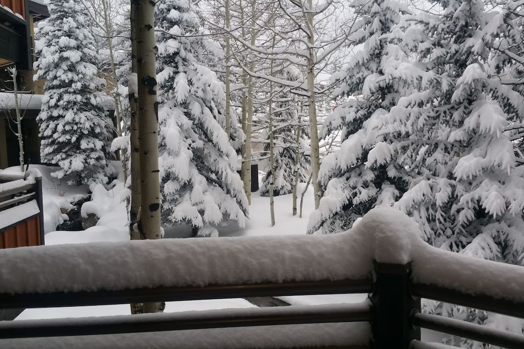 View from balcony