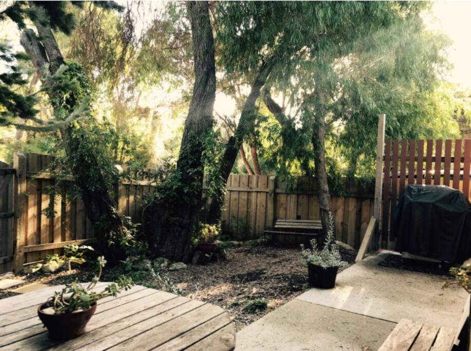 Front courtyard. Pet friendly and all enclosed.
BBQ on the right (;