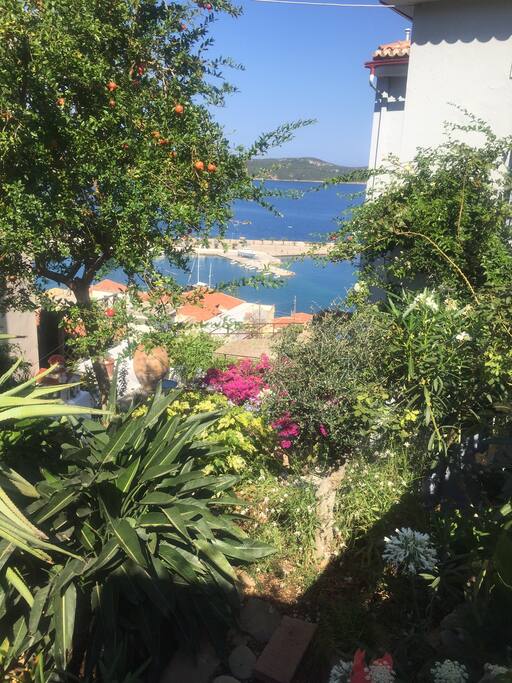 Exquisite Gardens