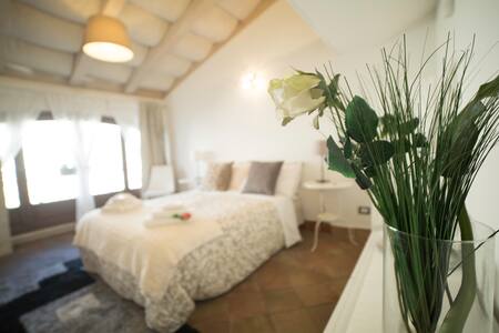 Royal Apartment in center