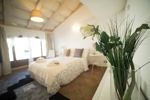 Royal Apartment in center