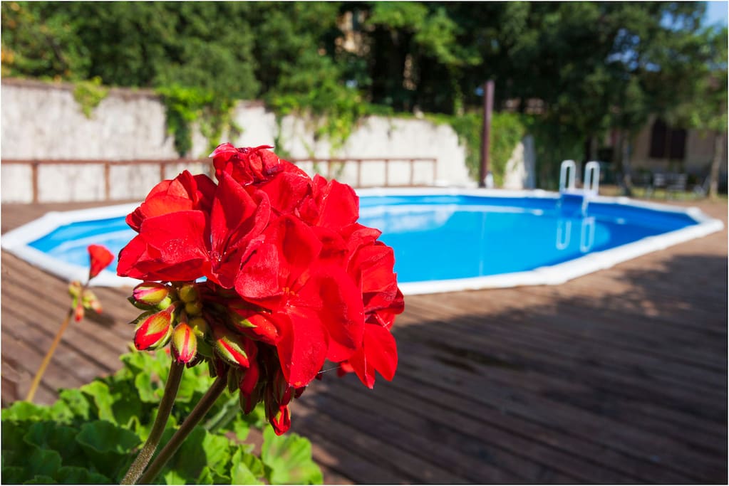 La piscina