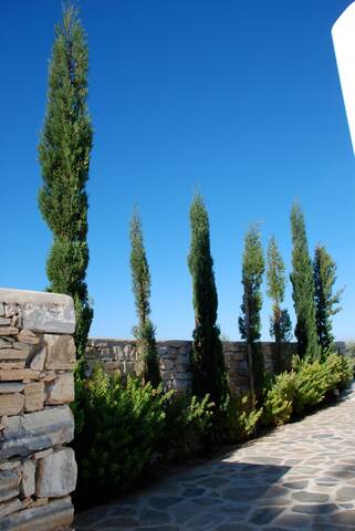 Luxury Villa in Paros gallery image 5