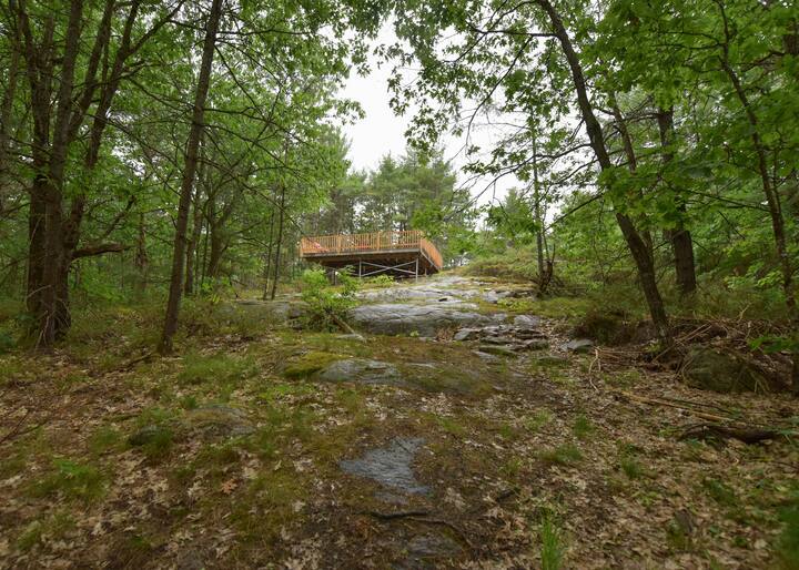 Top 6 Tiny Houses For Rent Near Beaverton, Canada Updated 2024 Trip101