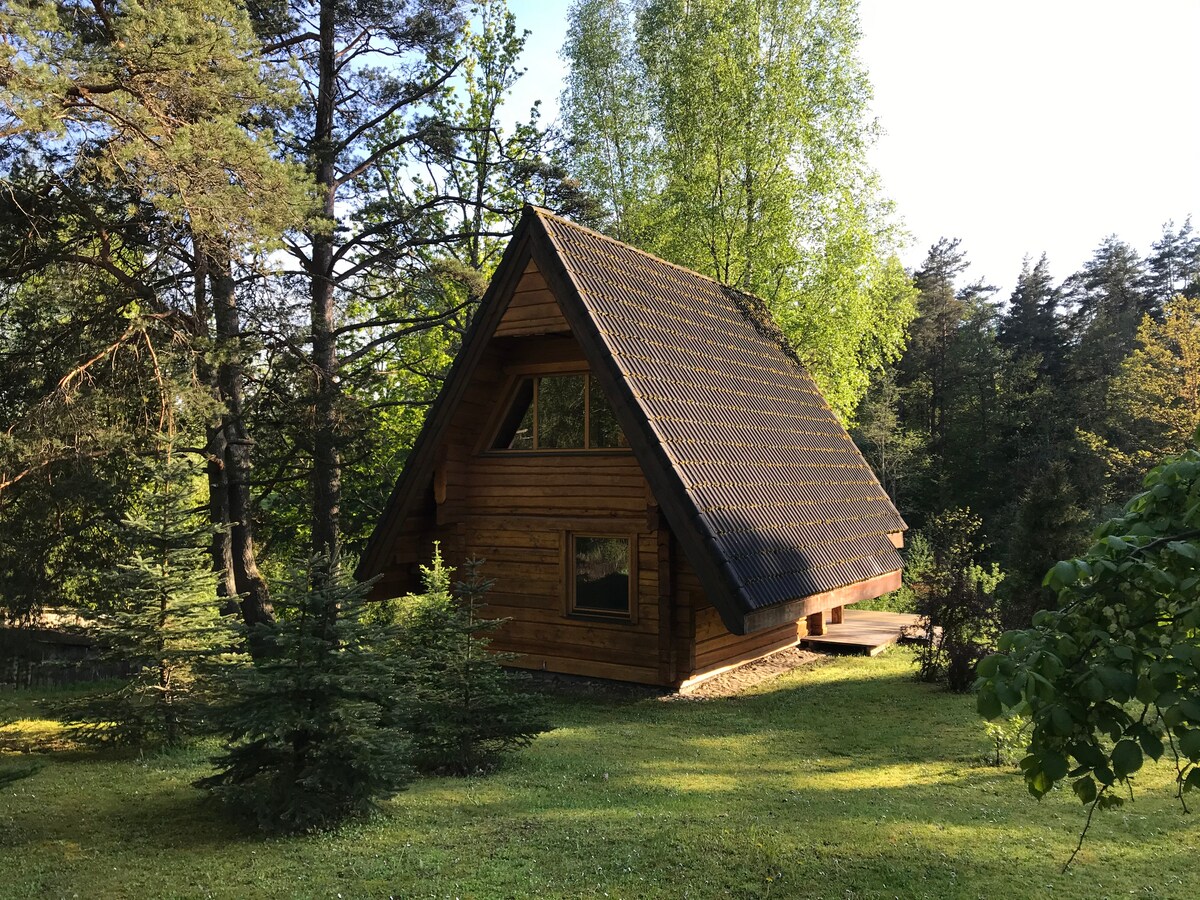 A wooden two-story cabin is surrounded by greenery, featuring a distinctive A-frame roof. Large windows are present, allowing natural light to fill the interior. The cabin sits on a gently sloping lawn, with various trees framing the scene.