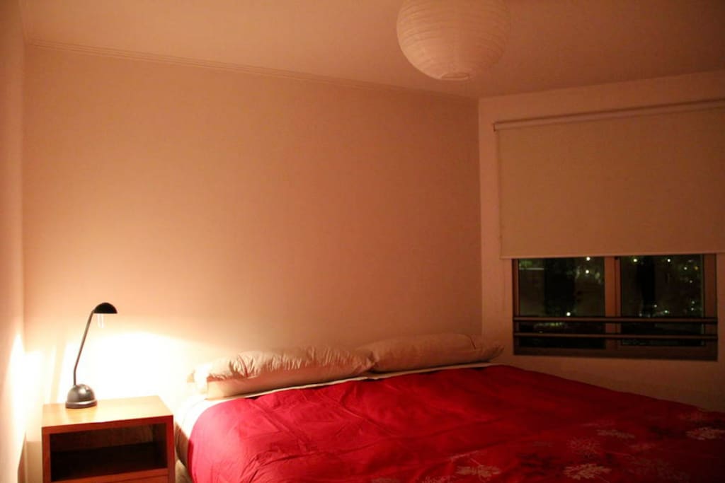 Apartment N1 - with Real King Bed