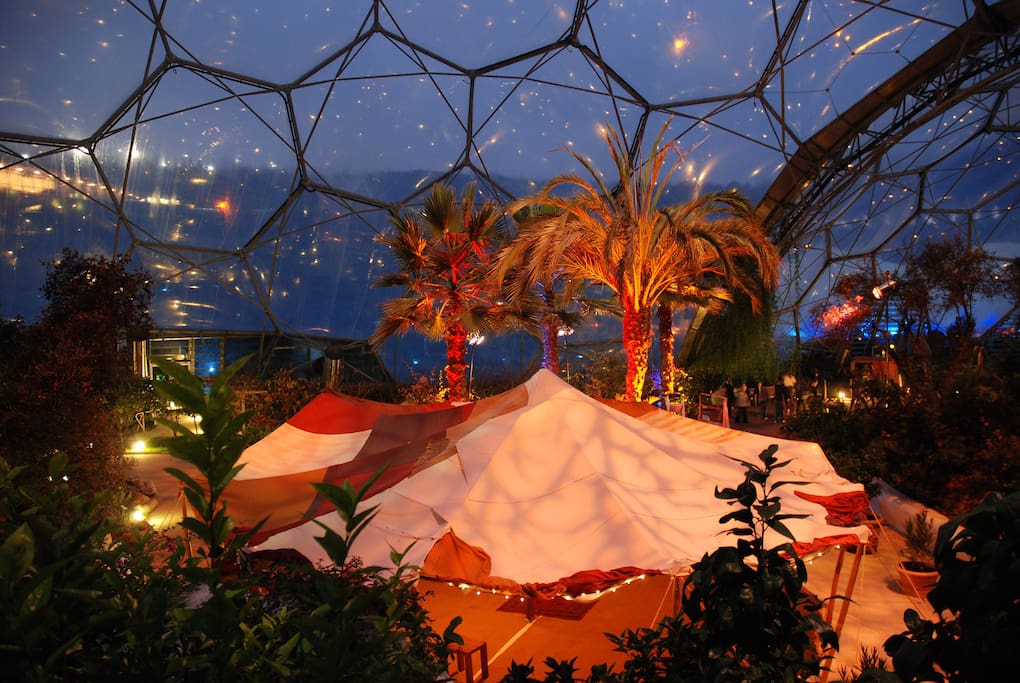 Christmas at the Eden project.