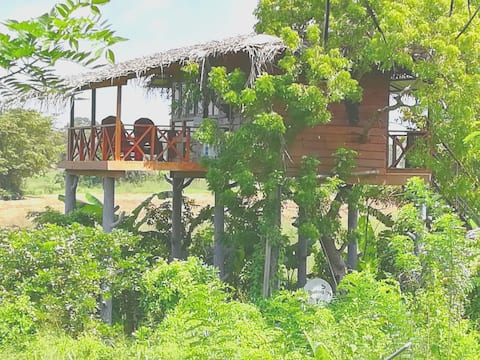 Vista Treehouse /  Hideout Sigiriya Boutique Hotel