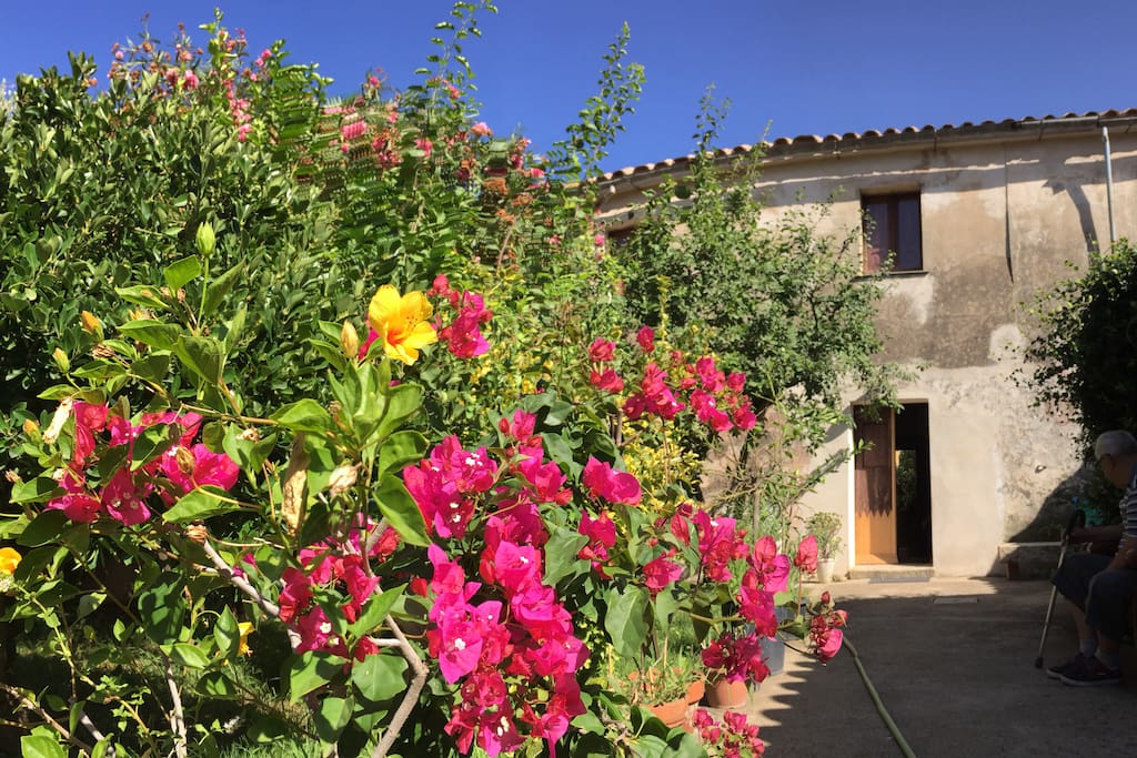 Per buona parte dell'anno in giardino colori e fiori rendono l'ambiente ancora più unico.