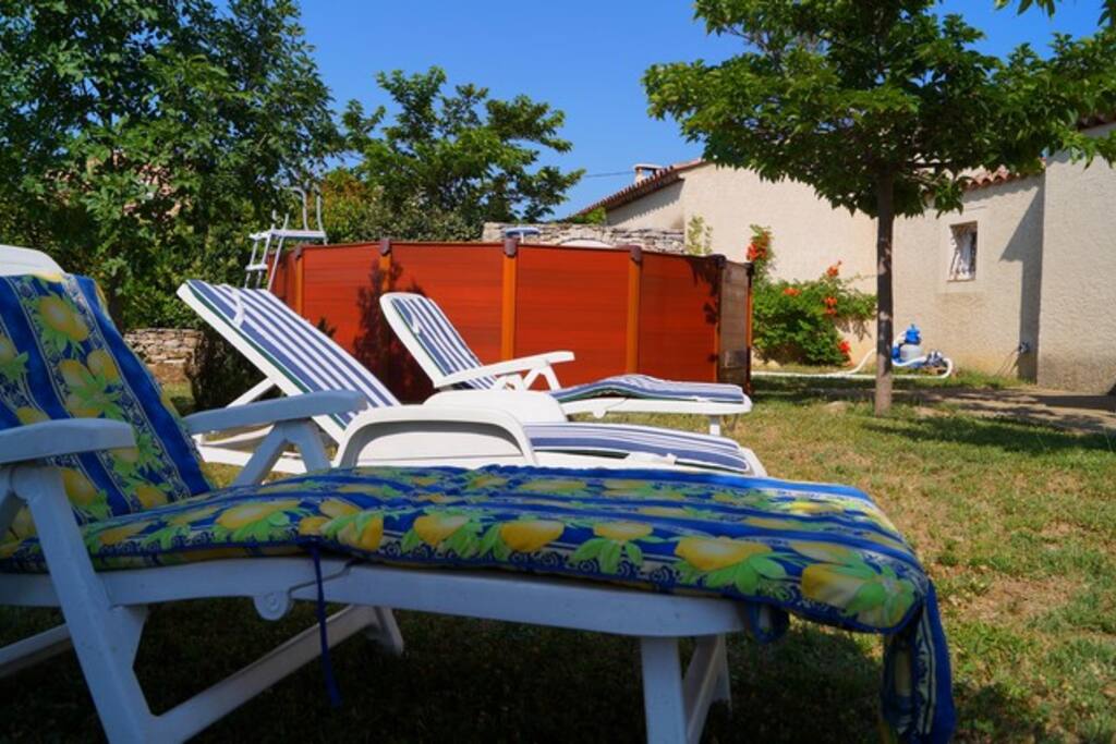 jardin, piscine et transats