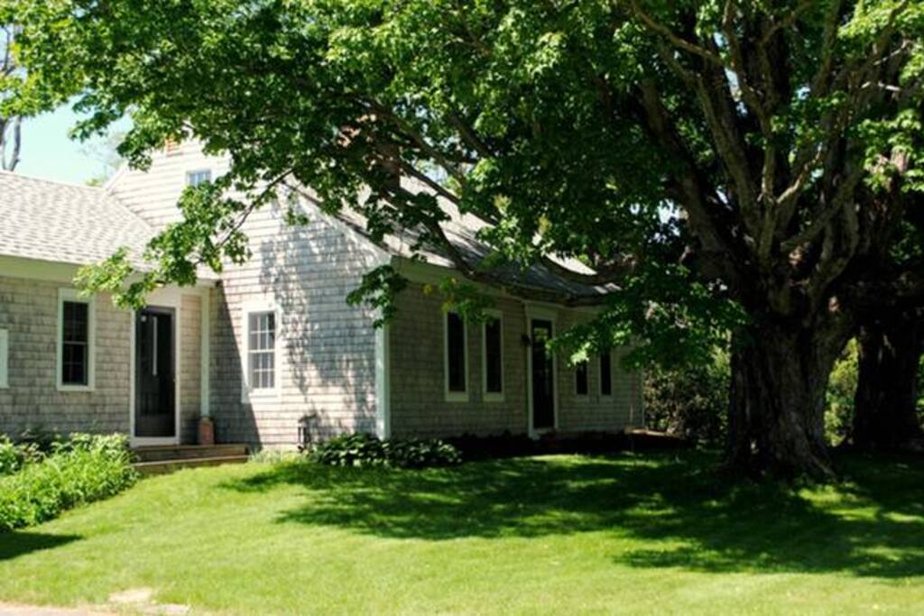 The guest wing, in the shade of the giant maples - so welcome in the summer!