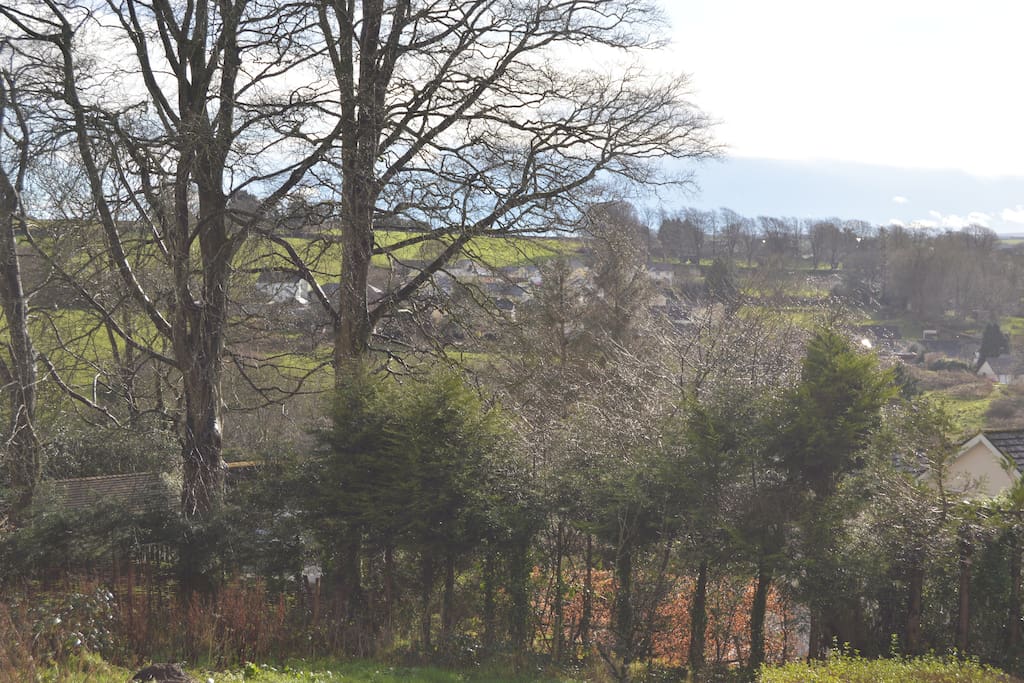 Views over the garden