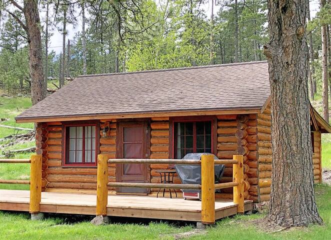 Airbnb Custer State Park Vacation Rentals Places To Stay