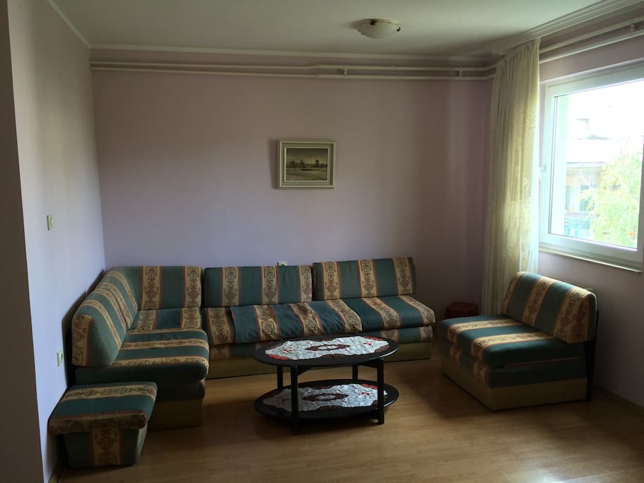 Living room (turns into 2+1 beds)