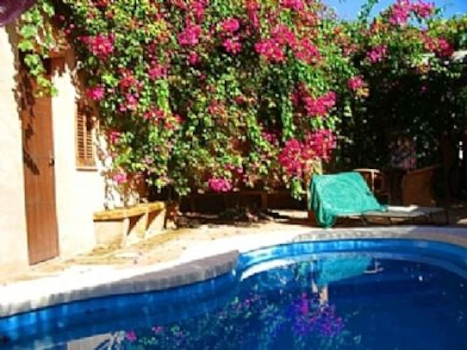 Private Pool