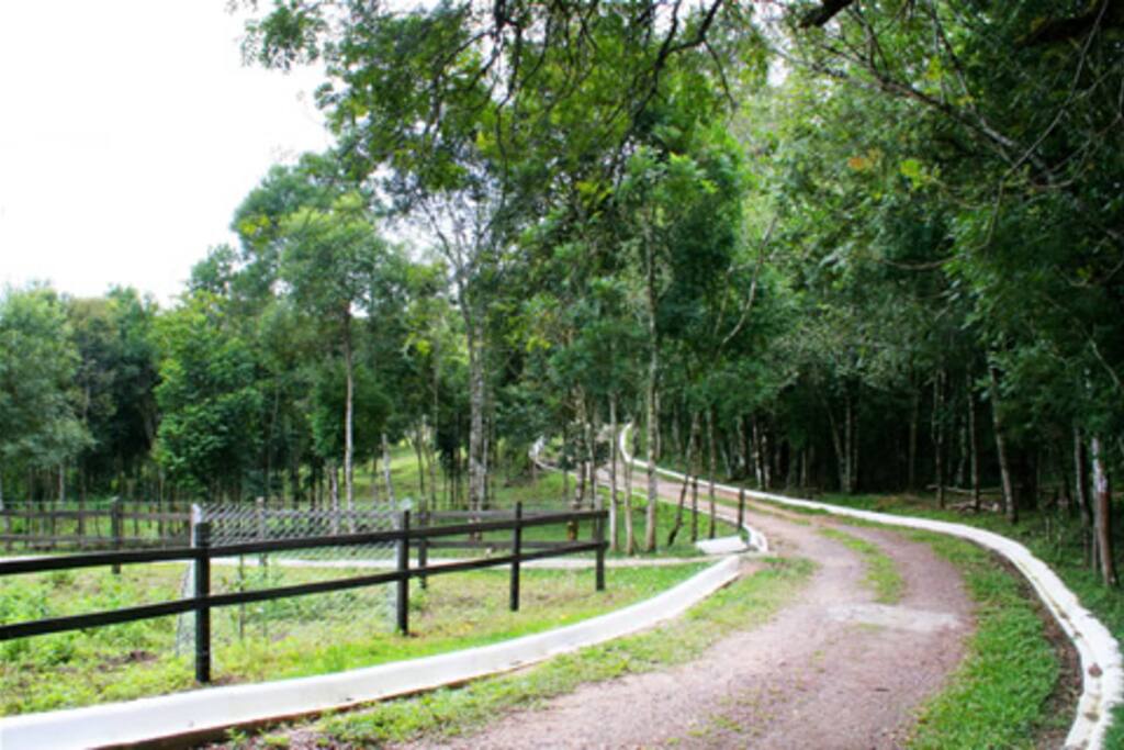 Espaço Comum
