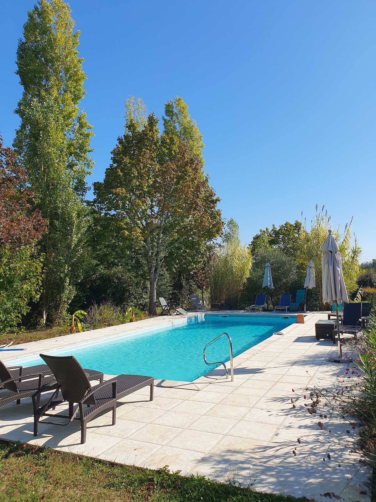 A shared pool measuring 12x5 metres is surrounded by lush greenery and trees. Comfortable lounge chairs line one side of the pool, complemented by umbrellas for shade. The clear blue water reflects the bright blue sky, creating a serene outdoor space.