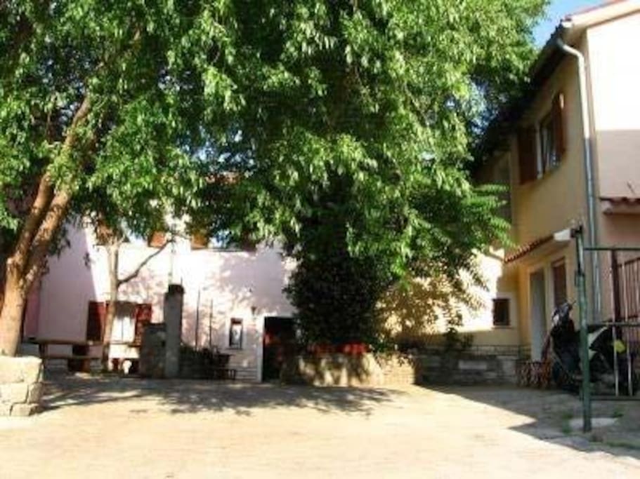 Outside area