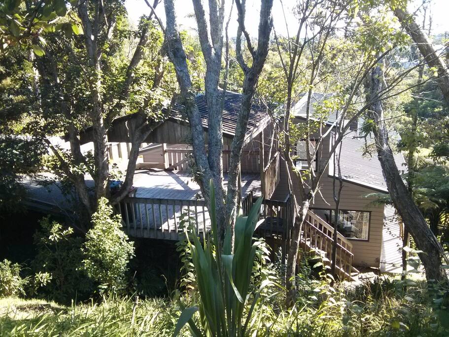 House surrounded in native bush