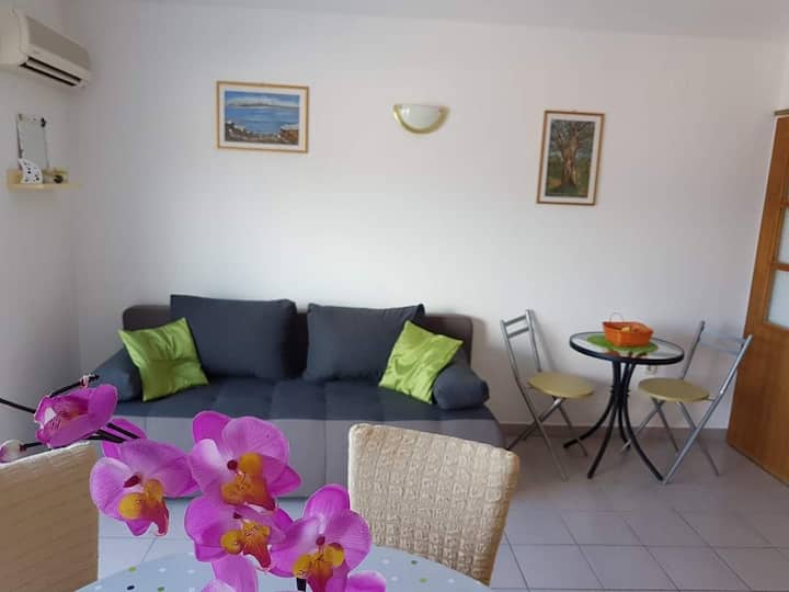 Apartment Yellow, Rogoznica, Croatia - Rogoznica