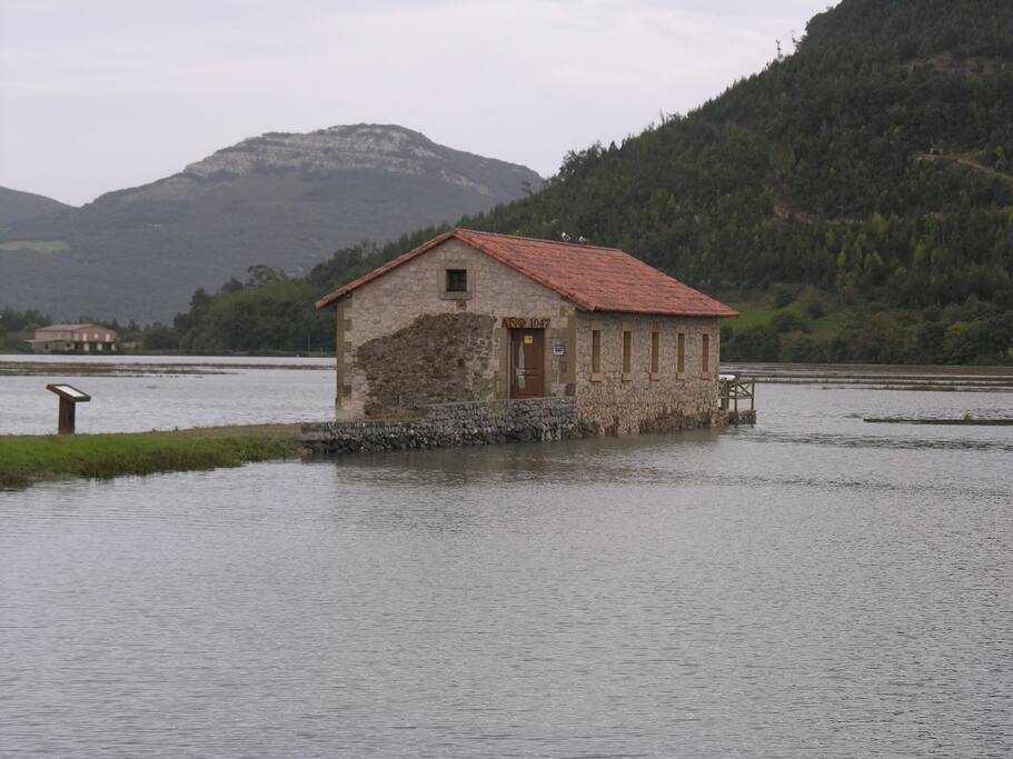 Molino de mareas a 5 km