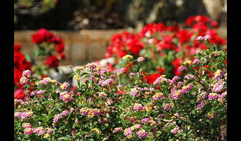 Privacy, silence and Mediterranean charm! gallery image 5