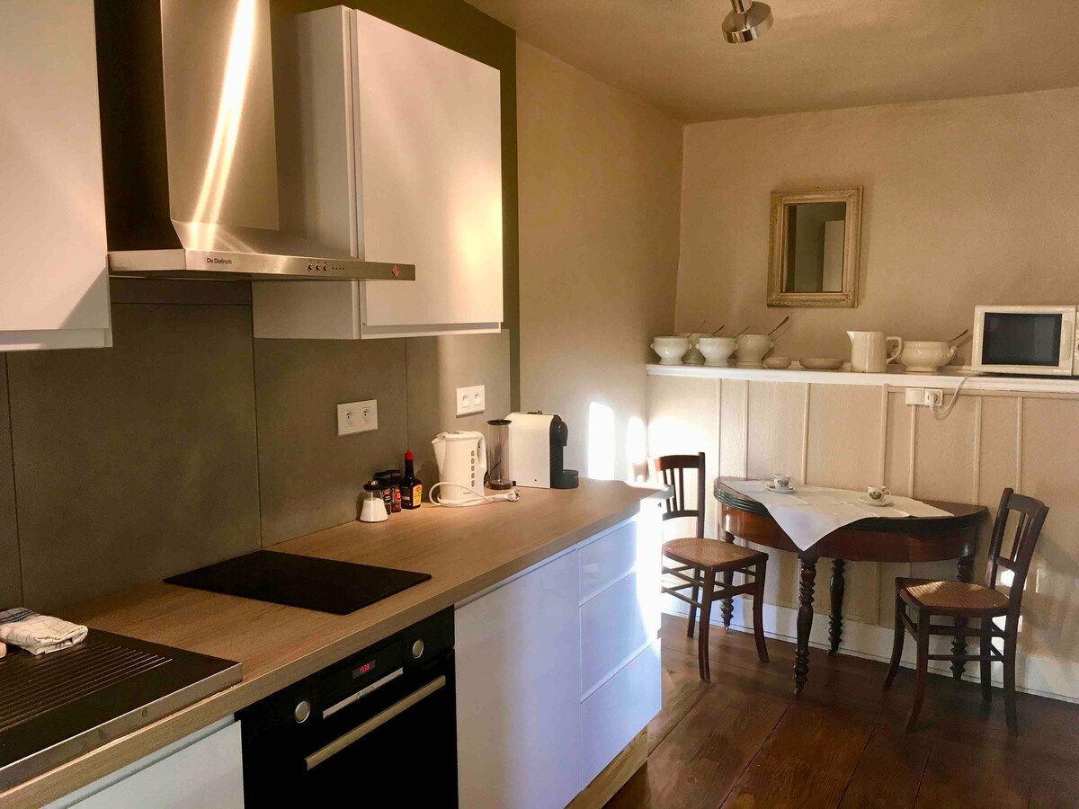 Airbnb performant: "CHEZ BRICE" Charm and calm in Colmar à Colmar