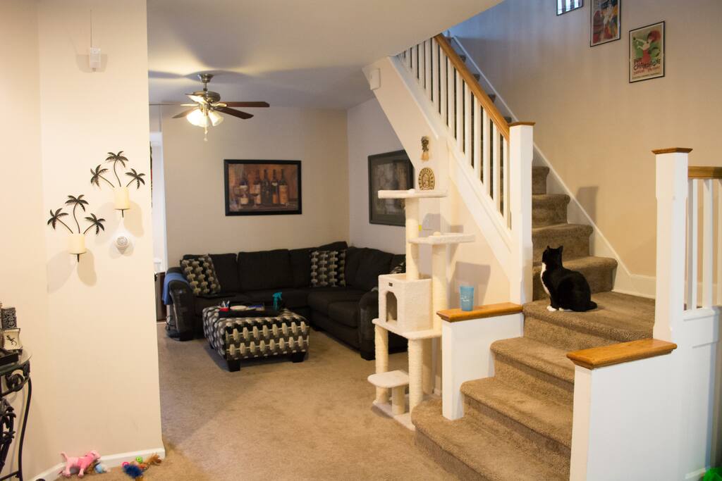 View from the front door