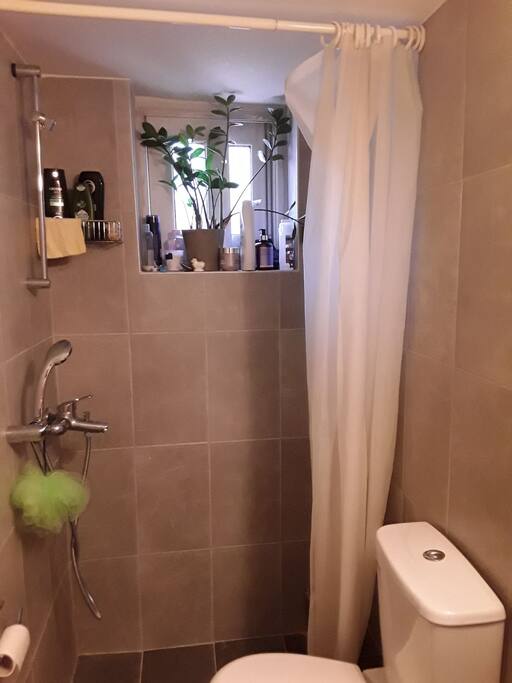Shower
