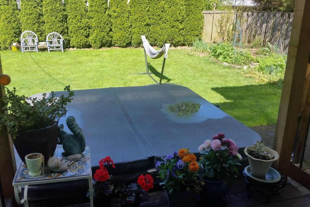 Backyard on a sunny day.