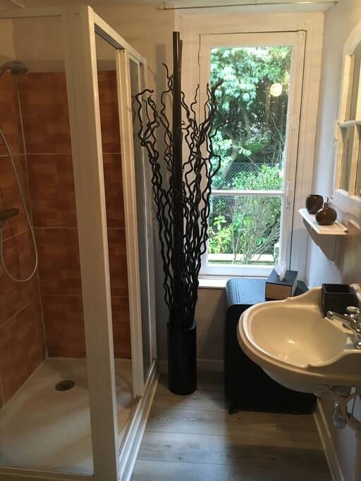 Salle de bains avec douche