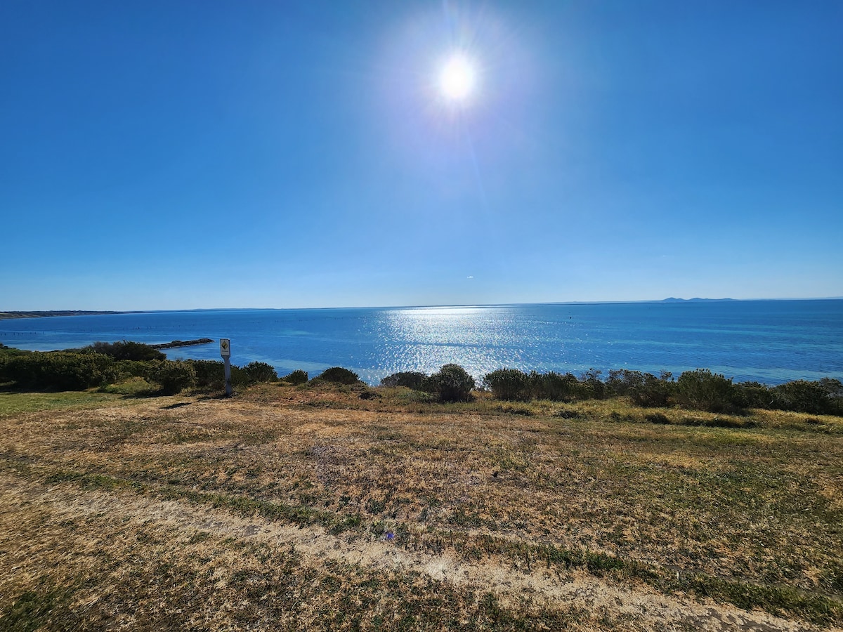 A scenic view of the ocean is captured under a clear blue sky, with sunlight reflecting off the calm waters. The foreground features grassy land, bordered by native shrubs that offer a natural landscape. The horizon stretches into the distance, creating a sense of openness.