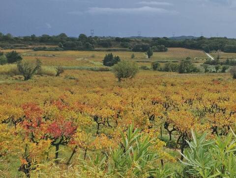 Villa with private pool.