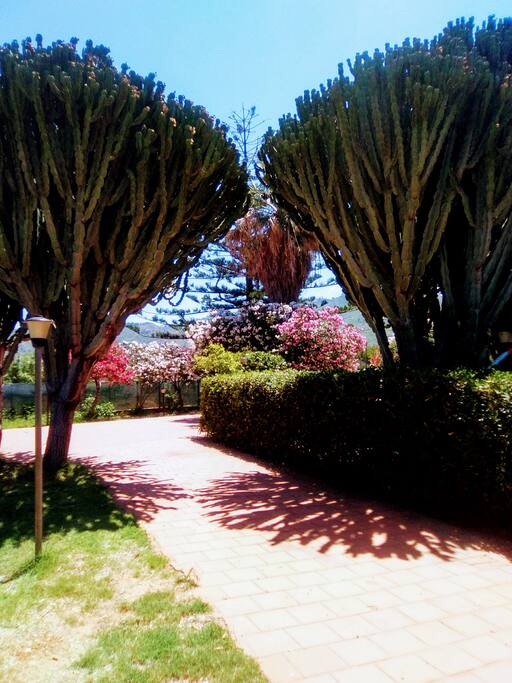 Ingresso villa