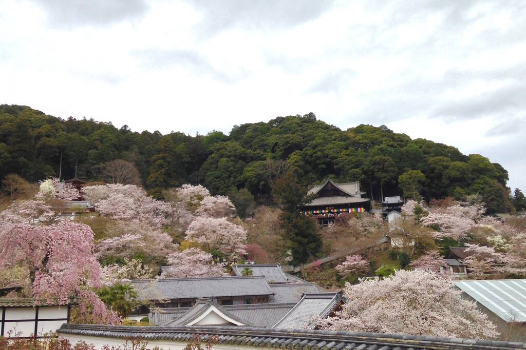 Hasedera Temple