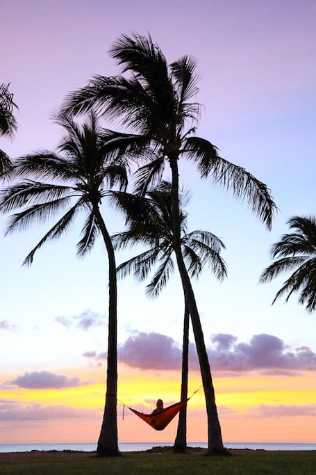 Experience sunsets like this!