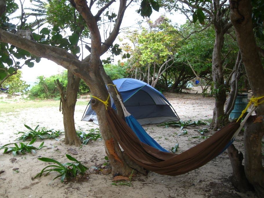 Tent & hammock