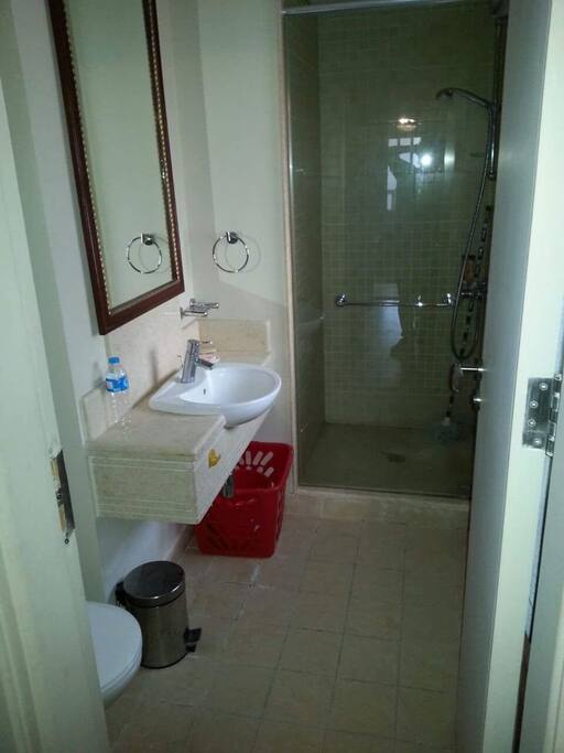 bathroom inside the bedroom