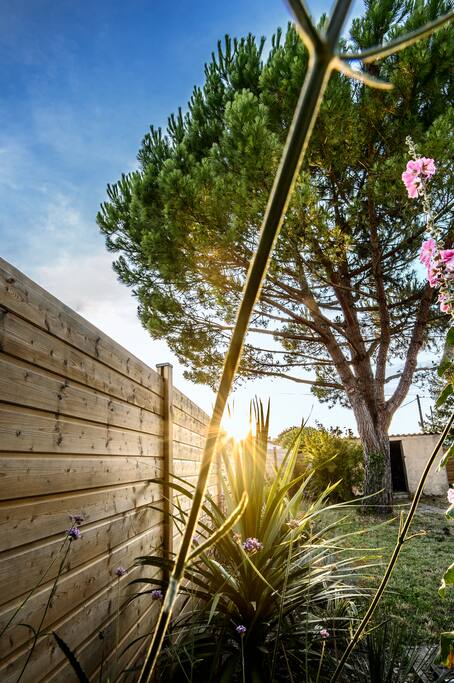 le jardin
