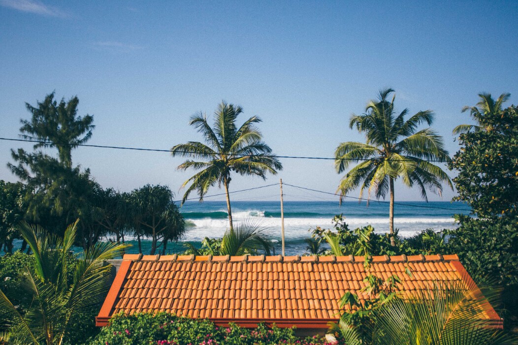 Ebb and flow surf deals