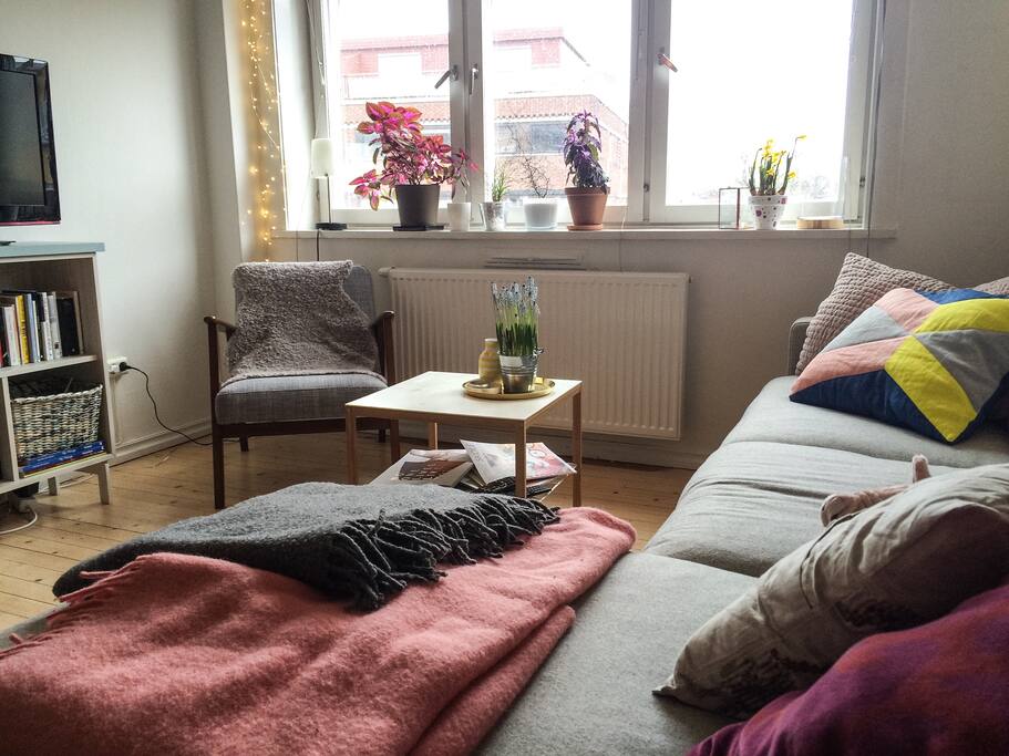 Bright living room.