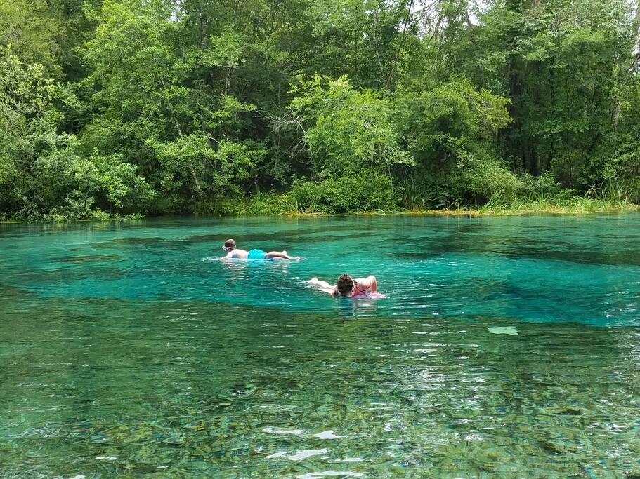 Pictured here is Ichetucknee Springs State Park, they have many trails to hike, float down the river, kayak rentals and different swimming holes