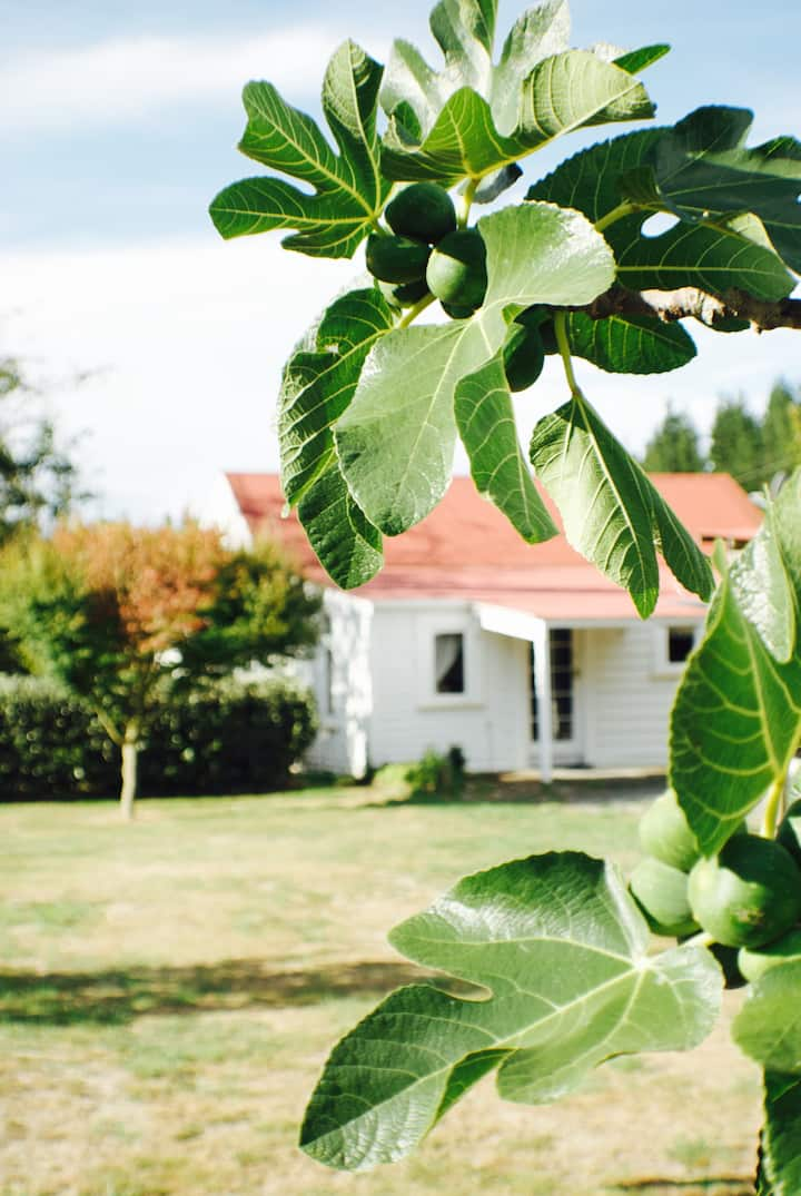 The Cottage - Riversdale Beach