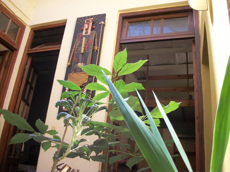 Espacios compartidos: patio jardín interior, con plantas y huerta, claraboya totalmente revatible, centro de la casa, donde convergen cuatro dormitorios, comedor baño y cocina.