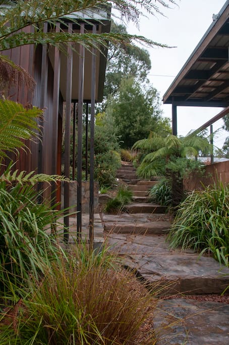 Steps from carport down to entry
